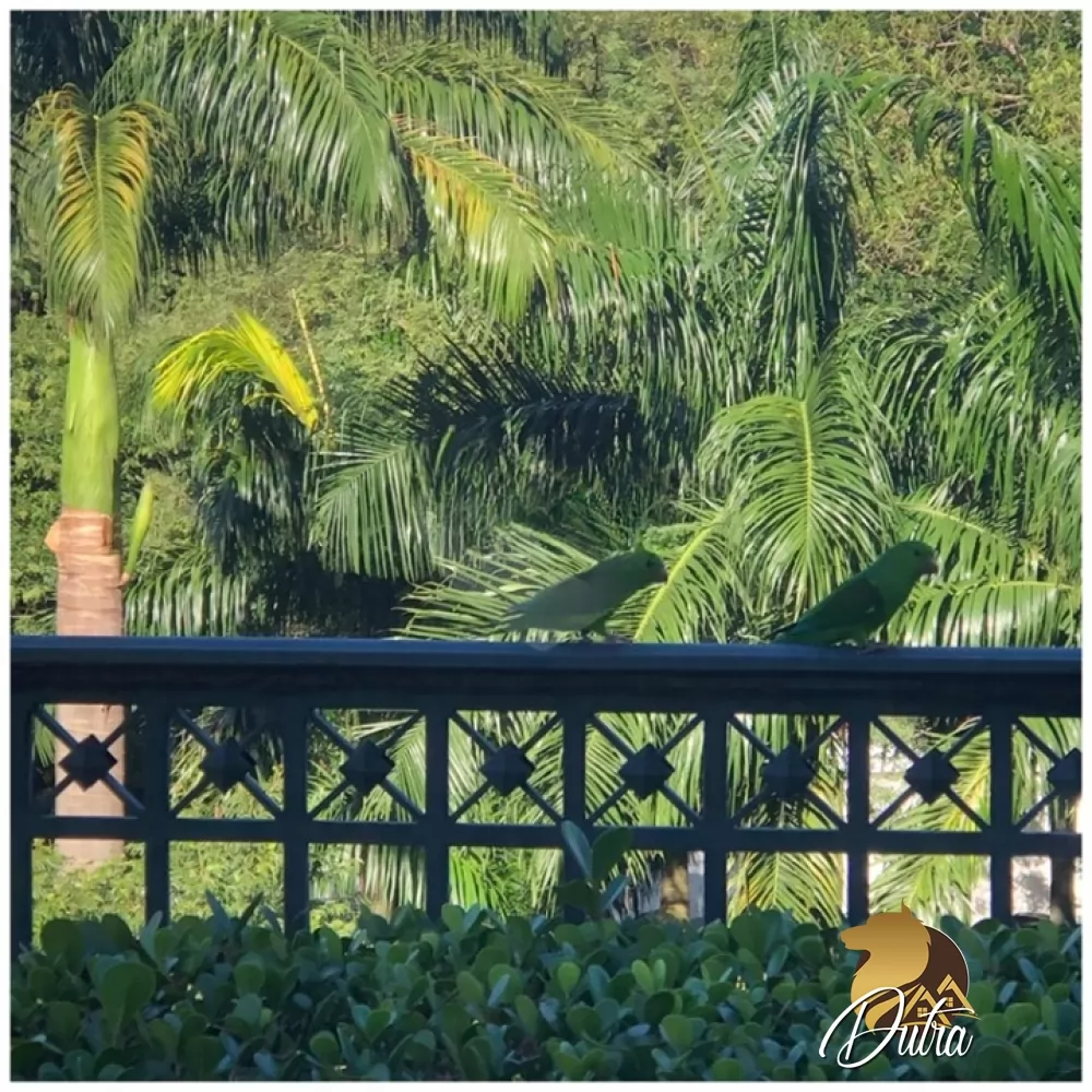 Palais Du Parc Paraíso 375m² 04 Dormitórios 04 Suítes 6 Vagas