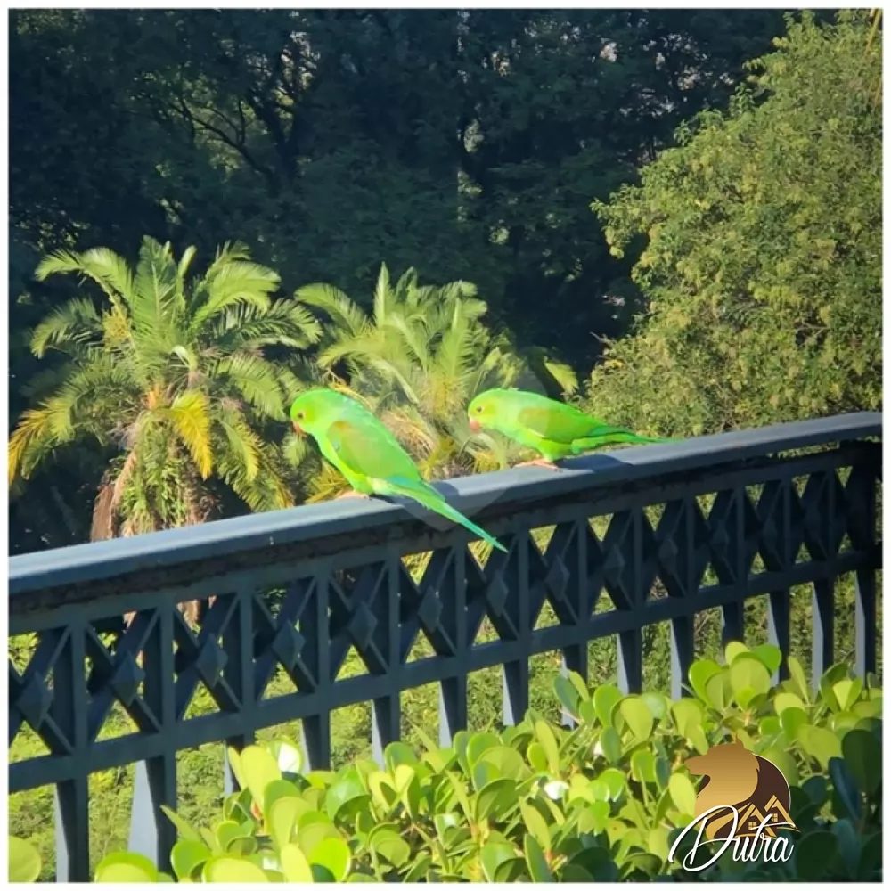 Palais Du Parc Paraíso 375m² 04 Dormitórios 04 Suítes 6 Vagas