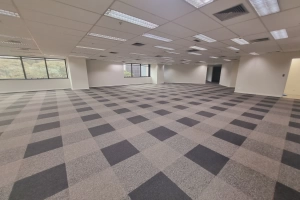 Company Plaza Pinheiros 775m² 21 Vagas