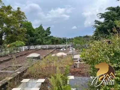 Padrão Jardim América 985m² 04 Dormitórios 04 Suítes 7 Vagas