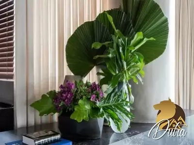 Edifício Geometria Vila Olímpia 322m² 03 Dormitórios 03 Suítes 5 Vagas