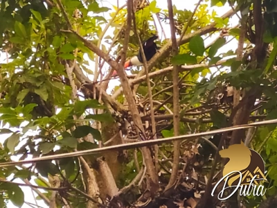 TAquaral Jardim Itapeva 158m² 03 Dormitórios 01 Suítes 4 Vagas