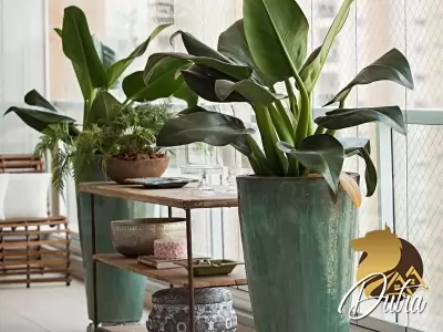 Particolare Campo Belo Campo Belo 383m² 03 Dormitórios 03 Suítes 5 Vagas