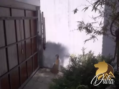 Padrão Planalto Paulista 386m² 04 Dormitórios 03 Suítes 4 Vagas